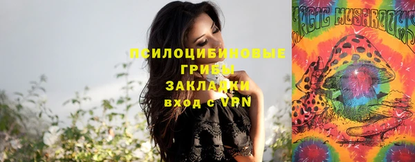 ПСИЛОЦИБИНОВЫЕ ГРИБЫ Домодедово