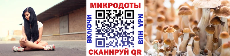 Псилоцибиновые грибы ЛСД  Анжеро-Судженск 