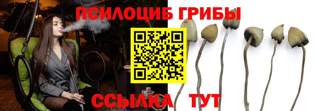 Анжеро-Судженск  закладки  Вход с VPN  Псилоцибиновые грибы MAGIC MUSHROOMS 